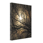 Mystical Moon Canvas Prints