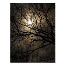 Mystical Moon Postcard