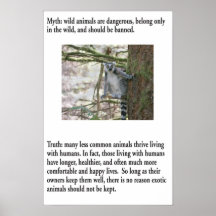 MythPoster: Exotic Animals