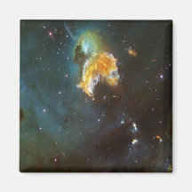 N63A Lady of the night sky Fridge Magnets