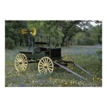 N.A., USA, Texas, Devine, Old wagon and Photo
