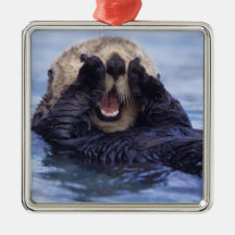 NA, USA, Alaska. Sea otters are the largest Christmas Tree Ornaments