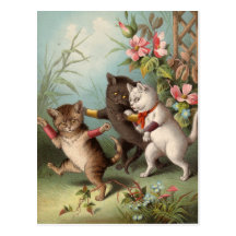Naghty Cats postcard