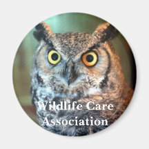 nala, Wildlife Care Association Magnet