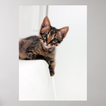 nana grizol print