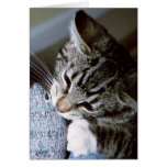 nancy with mouse card