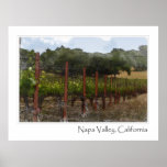Napa Valley California Vineyard Poster Print