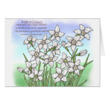 Narcissus Greeting Card
