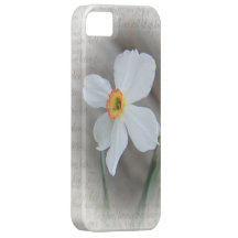 Narcissus iPhone 5 Case