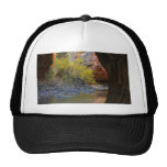 Narrows In Zion National Park Mesh Hat