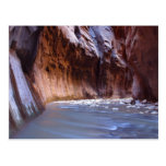 Narrows Zion National Park Postcard