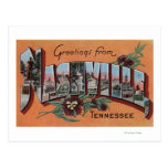 Nashville, Tennessee - Large Letter Scenes Post Card