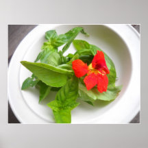 Nasturtium and Basil Salad Posters