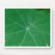 nasturtium leaf mouse mat