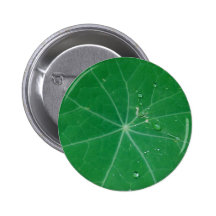 nasturtium leaf pinback buttons