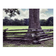 Natchez Split Rail Fence Postcard