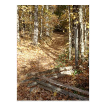 Natchez Trace Trail in Autumn Post Cards