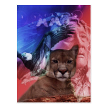 Native American Indian Warrior Postcards