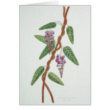 Native lilac Card