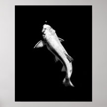 Native Trout Rising Posters