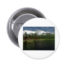 nativeamericans pin