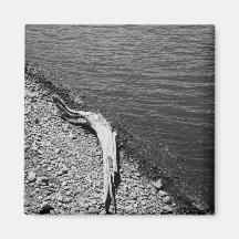 Natural Balance - Driftwood Still Life Magnet