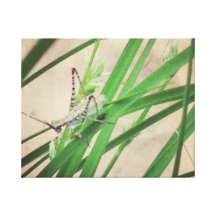 Natural Beauty Stretched Canvas Print