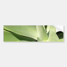 Natural Green Spirals Bumper Sticker