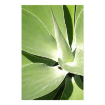 Natural Green Spirals Stationery