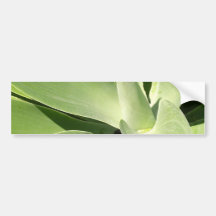 Natural Shades of Green Bumper Stickers