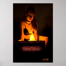 Natural Twenties Poster