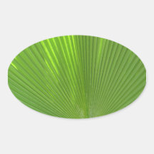 Naturally Cool Surfaces_Palm Frond radiating Oval Stickers