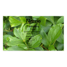 Naturally Yours Business Cards