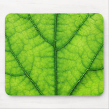 nature green tree leaf texture mouse pads