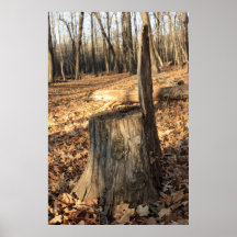 Nature Is Calling Posters