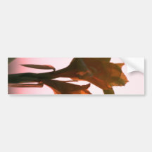 Nature Sticker Bumper Sticker