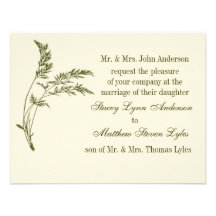 Nature's Appeal Evergreen Wedding Invitation