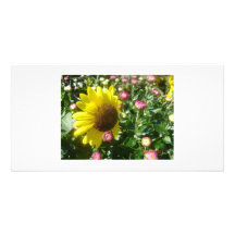 Nature's Beauty Customized Photo Card