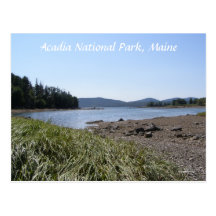 Natures Beauty Postcard
