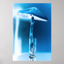 Nature's Funky Light Posters