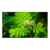 Natures Glory | Business Card Template