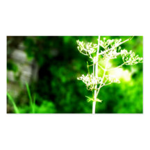 Natures Glow Business Card