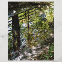 Nature's mirror flyers
