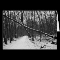 Nature's Overpass Greeting Card cards