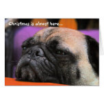 Naughty Pug Christmas Card