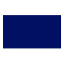 Navy Blue Business Card