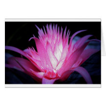 Neon Glow Greeting Cards