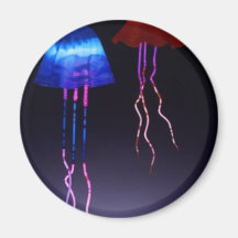Neon Jellyfish Refrigerator Magnet