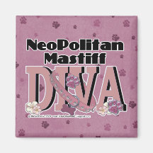 Neopolitan DIVA Magnet
