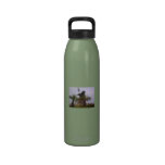Neptune Palms Drinking Bottles